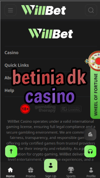 Betinia DK Casino - Denmark Casino Brand-casinoorder.vip